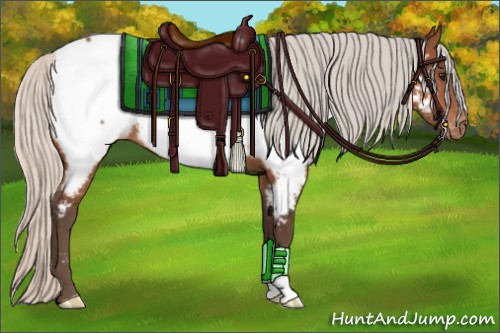 Horse Color:Silver Bay Appaloosa 