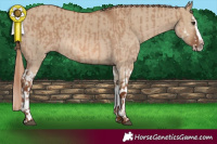Horse Color:Red Dun Splash and Red Dun Splash