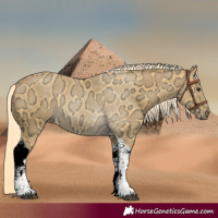 Horse Color:Palomino Ice Tobiano 