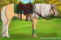 Horse Color:Palomino 