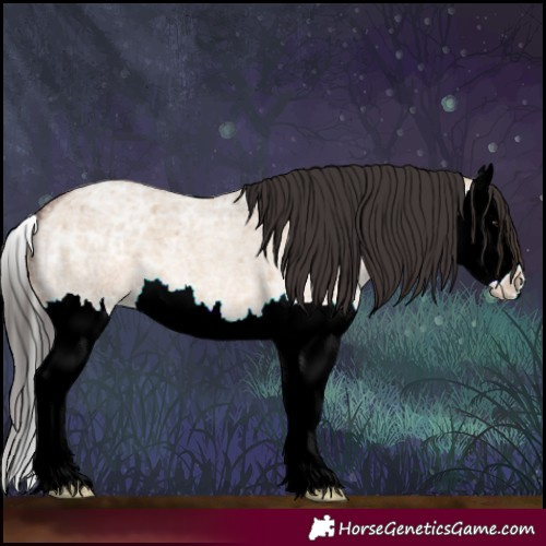 Horse Color:Bay Ice Roan Dun Splash 