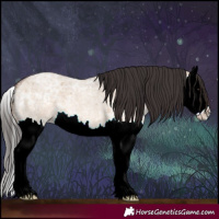 Horse Color:Bay Ice Roan Dun Splash 