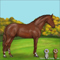 Horse Color:Chestnut Sabino