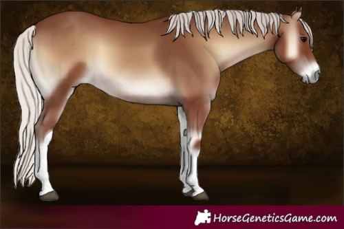 Horse Color:Silver Blue Onyx Tobiano 