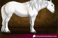 Horse Color:Gray Silver Brown Onyx Tobiano 