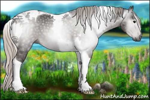 Horse Color:Gray Silver Black Tobiano Rabicano 