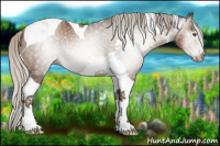 Horse Color:Gray Silver Black Pearl Tobiano