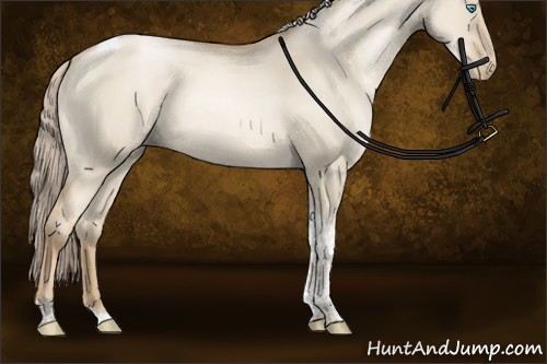 Horse Color:Chocolate Palomino Pearl Dun Tobiano Rabicano 