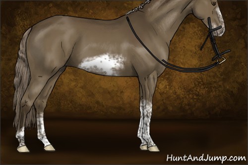 Horse Color:Chocolate Palomino Sabino Tobiano Frame Rabicano