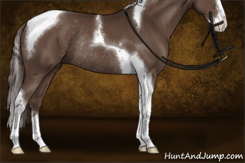 Horse Color:Liver Chestnut Sabino Splash Tobiano Rabicano 