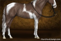 Horse Color:Liver Chestnut Sabino Splash Tobiano Rabicano 