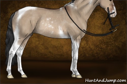 Horse Color:Bay Dun Sabino Tobiano Rabicano 