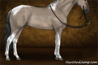 Horse Color:Brown Dun Tobiano Rabicano 