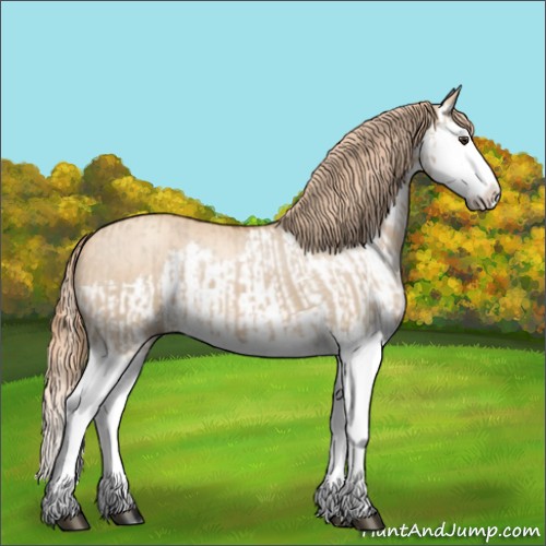 Horse Color:Red Dun Splash and Gold Champagne Dun Splash