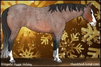 Horse Color:Bay Roan Splash