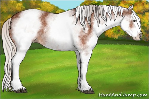 Horse Color:White Spotted Silver Bay Splash 