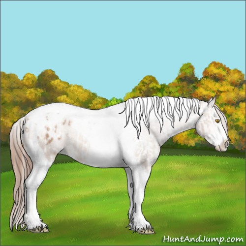 Horse Color:Amber Champagne Sabino Tobiano Blanket and Amber Champagne Sabino Tobiano Blanket
