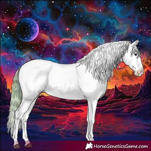 Horse Color:Watercolor Liver Red Dun Tobiano Appaloosa 