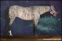 Horse Color:Brown Roan Dun Sabino  and Brown Roan Dun Rabicano 