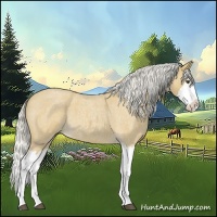 Horse Color:Silver Buckskin Roan Splash