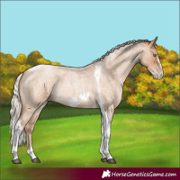 Horse Color:Silver Blue Roan Pearl Tobiano Frame 