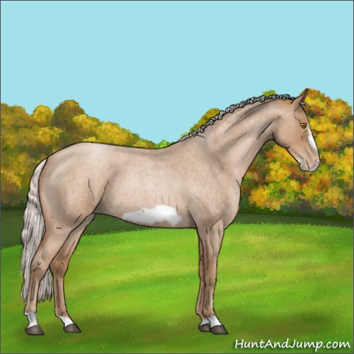 Horse Color:Silver Blue Roan Pearl Frame