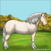 Horse Color:Silver Buckskin Roan Pearl Splash 
