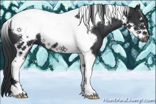 Horse Color:Black Chinchilla Tobiano Frame
