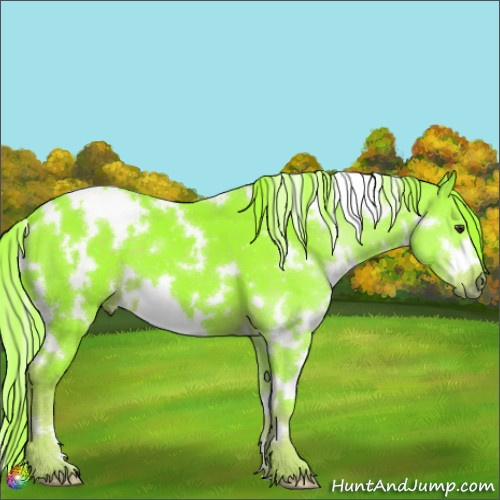 Horse Color:Watercolor White Spotted Liver Chestnut 
