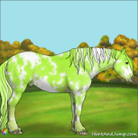 Horse Color:Watercolor White Spotted Liver Chestnut 