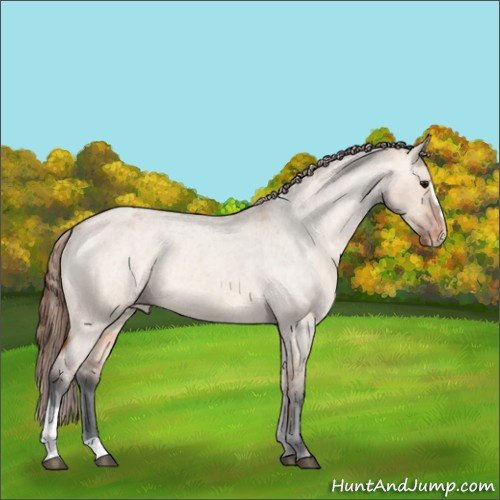 Horse Color:Bay Roan Dun Sabino Varnish