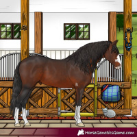 Horse Color:Brown 