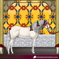 Horse Color:Silver Buckskin Roan Dun Splash 