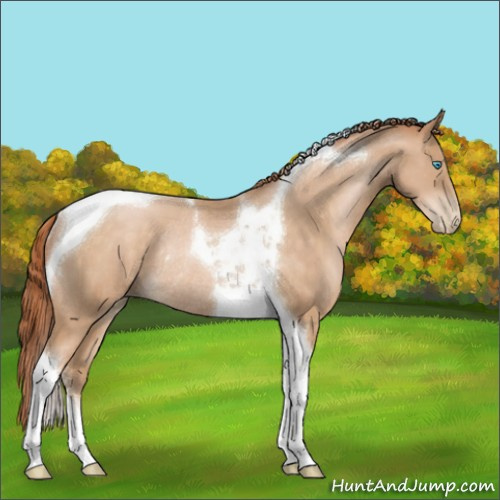 Horse Color:Buckskin Pearl Tobiano Rabicano 