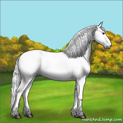 Horse Color:Gray Bay 