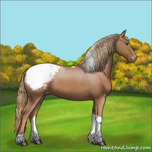 Horse Color:Chestnut Tobiano Appaloosa