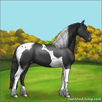 Horse Color:Black Tobiano Varnish 