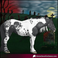 Horse Color:Black Chinchilla Tobiano 