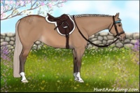 Horse Color:Silver Bay Dun