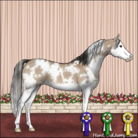 Horse Color:White Spotted Liver Red Dun Splash