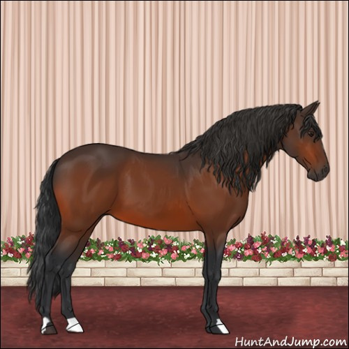 Horse Color:Brown 