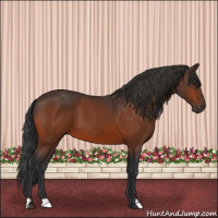 Horse Color:Brown 