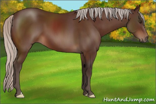 Horse Color:Silver Brown 