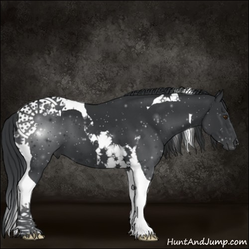 Horse Color:Black Chinchilla Tobiano 