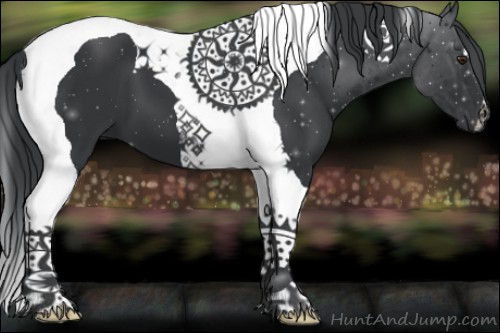 Horse Color:Black Chinchilla Tobiano 