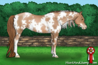 Horse Color:White Spotted Liver Chestnut Pearl 