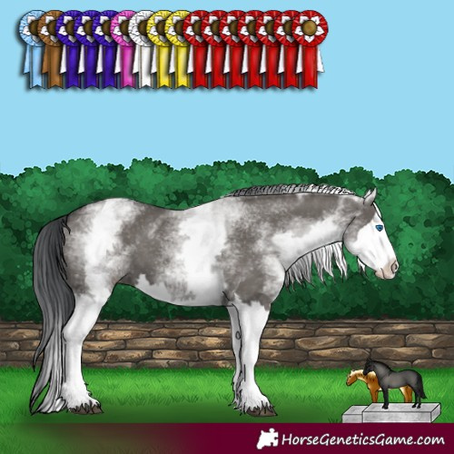 Horse Color:White Spotted Grullo Splash 