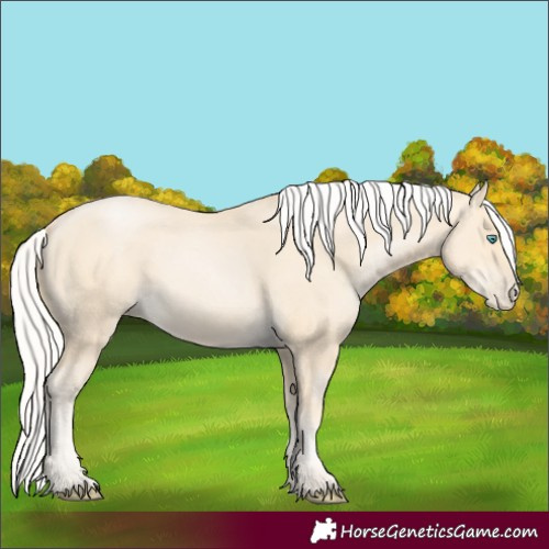 Horse Color:Silver Smoky Black Pearl 