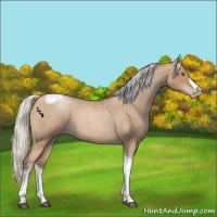 Horse Color:Silver Blue Roan Pearl Tobiano Frame 