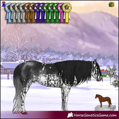 Horse Color:Gray White Spotted Brown Mushroom  and Gray White Spotted Brown Mushroom 